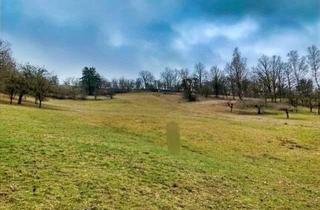 Gewerbeimmobilie kaufen in 90616 Neuhof, Flurstück - Magerwiese in Neuhof an der Zenn