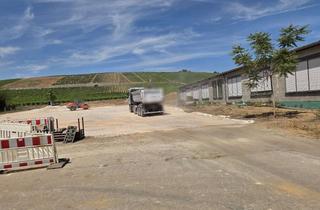 Gewerbeimmobilie mieten in Industriestraße, 65366 Geisenheim, Außenlager- & Parkflächen in Geisenheim – ca. 8.000 m², teilbar, provisionsfrei