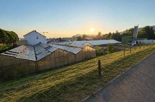 Gewerbeimmobilie mieten in 71723 Großbottwar, 1.250 m² Gewerbeflächemit vielen Nutzungsmöglichkeitenim Bottwartal