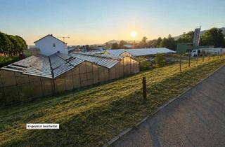Gewerbeimmobilie mieten in 71723 Großbottwar, 1.250 m² Gewerbeflächemit vielen Nutzungsmöglichkeitenim Bottwartal