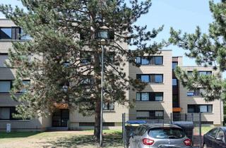 Wohnung kaufen in 30952 Ronnenberg, Ronnenberg Empelde: Großzügige 2 Zimmer Wohnung mit Balkon