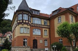 Wohnung mieten in 98617 Meiningen, Ein-Raum-Wohnung mit Küche!