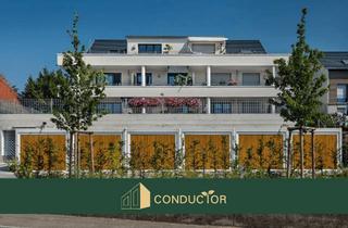 Wohnung mieten in 74081 Klingenberg, Exklusive 3,5-Zimmer-Wohnung mit großer Dachterrasse & Ausblick zu vermieten!