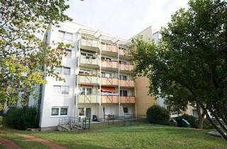 Wohnung mieten in Ligusterweg, 99097 Wiesenhügel, Schicke 1-Raumwohnung mit Balkon sucht neue Bewohner