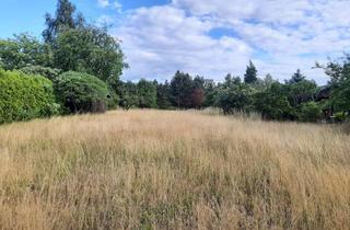 Grundstück zu kaufen in Heideweg 16, 03238 Sallgast, Baugrundstück ruhige Lage am Wald