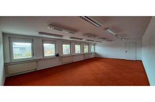Büro zu mieten in Beinheimer Straße, 76437 Rastatt, Funktionale Bürofläche in Rastatt: Modernisiert und barrierefrei