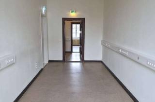 Büro zu mieten in Bölschestraße 87-88, 12587 Friedrichshagen, 4-Raum-Büro mit Küchen-Flur in exponierter Lage im Rathaus Friedrichshagen