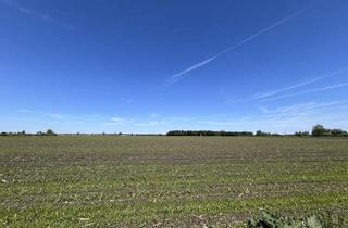 Immobilie kaufen in 86637 Wertingen, div. landw. Acker/Wiesen/Waldfläche im Raum Wertingen gegen Gebot