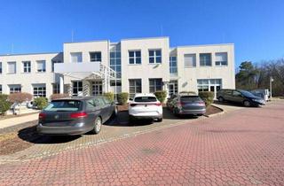 Geschäftslokal mieten in 63128 Dietzenbach, 1.247 m² Lagerfläche + 484 m² Bürofläche im modernen Gewerbepark Provisionsfrei zu vermieten