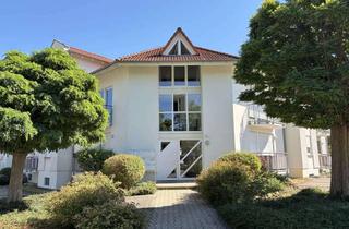 Wohnung kaufen in 72116 Mössingen, 1,5 Zimmer mit Balkon - sofort bezugsfrei!