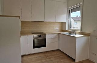 Wohnung mieten in Pestalozzistraße, 36199 Rotenburg, Erstbezug, Top-sanierte, schicke 2-Raum Wohnung mit EBK , in Rotenburg/F.