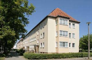Wohnung mieten in Gropiusallee 22, 06846 Siedlung, 2-Raum-Wohnung in Ziebigk
