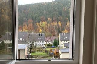 Wohnung mieten in Obere Siedlungsstraße 108, 09430 Drebach, Moderne 2-Raumwohnung