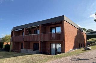 Wohnung mieten in 37120 Bovenden, Sanierte 1-Zimmer-Wohnung mit gemütlicher Terrasse (Grünblick) in Bovenden