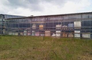 Grundstück zu kaufen in 19300 Grabow, 6.643 m² Gewerbegrundstück mit Baustoffmarkt in Grabow - Gewerbeobjekt mit Ausbau