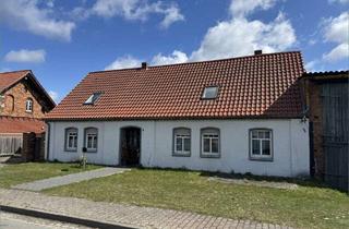 Einfamilienhaus kaufen in 38486 Wenze, Einfamilienhaus mit zusätzlichem Grünland (5.549m²) in Trippigleben