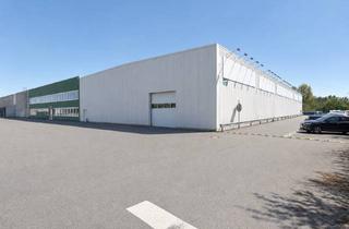 Gewerbeimmobilie mieten in Wendener Str. 45, 38527 Meine, Funktionale Hallenfläche - Herovrragende Lage an der A2