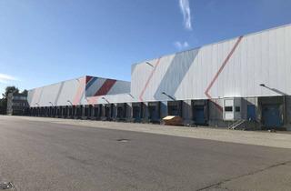 Gewerbeimmobilie mieten in 04668 Thümmlitz, Ca. 10.000m² große Hallenfläche, teilbar und direkt vom Eigentümer