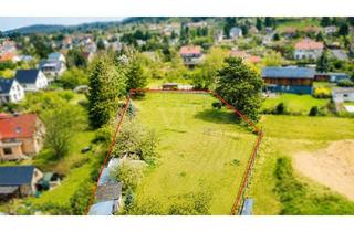 Grundstück zu kaufen in 01445 Radebeul, NATUR PUR – WEITLÄUFIGES FREIZEITGRUNDSTÜCK IN SCHÖNER LAGE