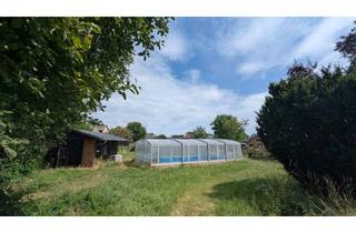 Grundstück zu kaufen in 14656 Brieselang, Traumgrundstück mit Pool