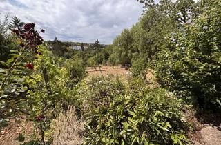 Grundstück zu kaufen in Loh 9-17, 65199 Biebrich, Kleingarten mit Gartenhaus - 1071 m² mit Wasser und Strom Wi-Dotzheim € 80.000,-