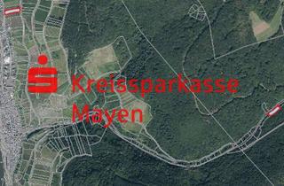 Gewerbeimmobilie kaufen in 56856 Zell, Wald- und Landwirtschaftsfläche mit insgesamt 2.457 m² in Zell (Mosel)