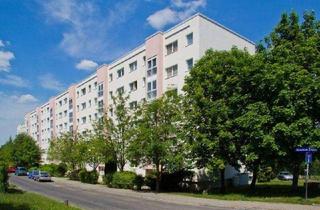 Wohnung mieten in Ebereschenstr. 34, 01169 Gorbitz-Süd, Aktuelle Renovierung einer praktischen 2-Raum-Wohnung mit Balkon!
