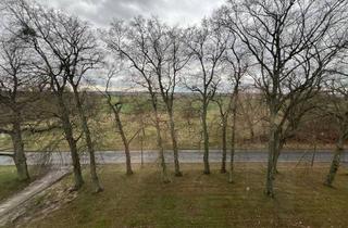 Wohnung mieten in Dorfstraße 41, 17349 Voigtsdorf, schöner Blick aus 3- Raum-Wohnung in Voigtsdorf