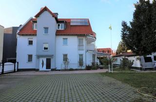 Wohnung mieten in 65451 Kelsterbach, Frisch renovierte 1-Zimmer Souterrain Wohnung in zentraler Lage