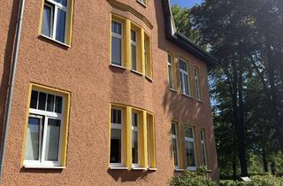 Wohnung mieten in Adolf-Pompe-Straße 21, 17109 Demmin, Charmante 3-Raum-Altbauwohnung mit Südbalkon & Blick ins Grüne