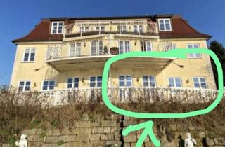 Wohnung mieten in Altbirkwitz 18, 01796 Pirna, Helle 2- Zimmer mit Wohnung mit großer Terrasse - direkt an der Elbe