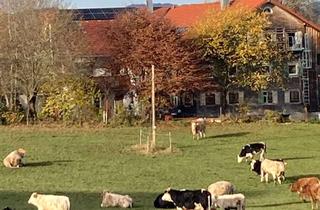 WG-Zimmer mieten in Hofstetten, 87477 Sulzberg, 3 Zimmer in 220 m2 Wohnung EG nahe Öschlesee Bergblick