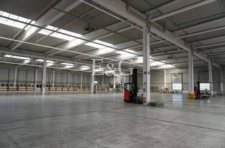 Gewerbeimmobilie mieten in 73765 Neuhausen, Sofort verfügbare Logistikhalle mit direkter Anbindung an Flughafen & A8