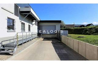 Büro zu mieten in 85551 Kirchheim, Vielseitig nutzbare Lager-/Produktionshalle mit Büro