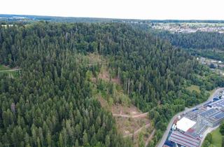 Gewerbeimmobilie kaufen in 75385 Bad Teinach-Zavelstein, ca. 3 ha großes Waldgrundstück in Bad Teinach-Zavelstein zu verkaufen