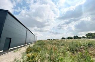 Lager kaufen in 41515 Grevenbroich, Gewerbegrundstück mit ca. 6.000 m² und genehmigter Bauvoranfrage in Grevenbroich-Allrath