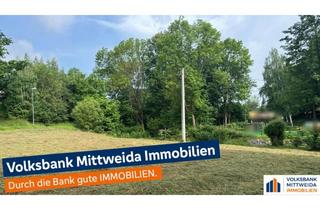 Immobilie kaufen in 09661 Hainichen, Großzügiges Grundstück mit viel Potential!