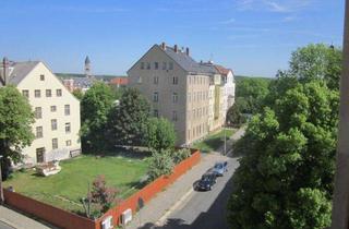 Wohnung mieten in Seumestr. 10, 08525 Plauen, *BIRI* - 4-Raum-DG-Wohnung in Haselbrunn