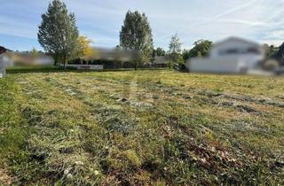 Grundstück zu kaufen in 77749 Hohberg, RUHIGE LAGE, IDEAL FÜR FAMILIEN