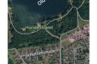 Einfamilienhaus kaufen in 29525 Uelzen, Uelzen - Einfamilienhaus in Oldenstadt