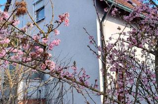 Haus kaufen in 92249 Vilseck, Vilseck - Eins -Zweifamilienhaus zu Verkaufen