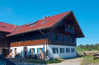 Mehrfamilienhaus kaufen in 87672 Roßhaupten, Roßhaupten - Mehrfamilienhaus mit Pferdehof