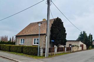 Einfamilienhaus kaufen in 04862 Mockrehna, Mockrehna - Einfamilienhaus mit großem Garten
