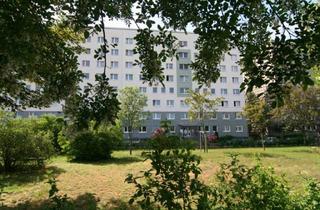 Wohnung mieten in Ferd.-V.-Schill-Straße 16, 06844 Innenstadt, 3-RWE im Zentrum