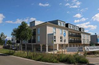 Wohnung mieten in 55218 Ingelheim, Schöne 3-Zimmer Wohnung mit Dachterrasse