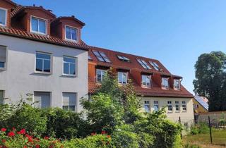 Wohnung mieten in 99867 Gotha, Schöne Singlewohnung im Zentrum von Gotha