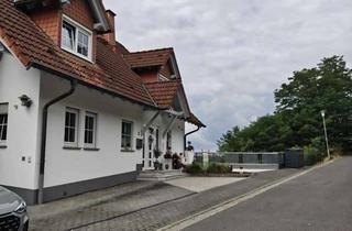 Wohnung mieten in Am Wingertsberg, 64823 Groß-Umstadt, Komplett renovierte All-In-Single Wohnung (ca. 62 qm). Siehe genaue Beschreibung.