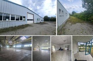 Geschäftslokal mieten in 99444 Blankenhain, Produktions-/Warmlagerhalle mit Büro & Sozialtrakt, SP + zusätzl. Freifläche möglich
