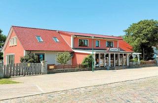 Haus kaufen in Luckower Straße, 17375 Vogelsang-Warsin, Auszeit am Haff - Ferienanlage 17375 Vogelsang-Warsin, Luckower Straße 3