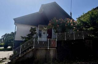Haus kaufen in Freiherr-Vom-Stein-Str., 56743 Mendig, Bezahlbarer Familientraum mit Mehrwert – modernisiert, Wintergarten, Garten und 4 Garagen